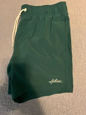 Hollister Swim Trunks 5”